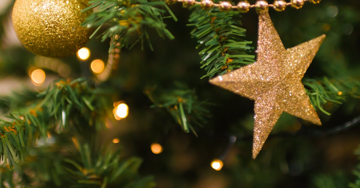 découvrez l'univers captivant de star academy, l'émission qui révèle les talents musicaux de demain. suivez les aventures des candidats, leurs défis artistiques et leurs moments de vie inoubliables dans un cadre de compétitions intenses et d'émotions fortes.