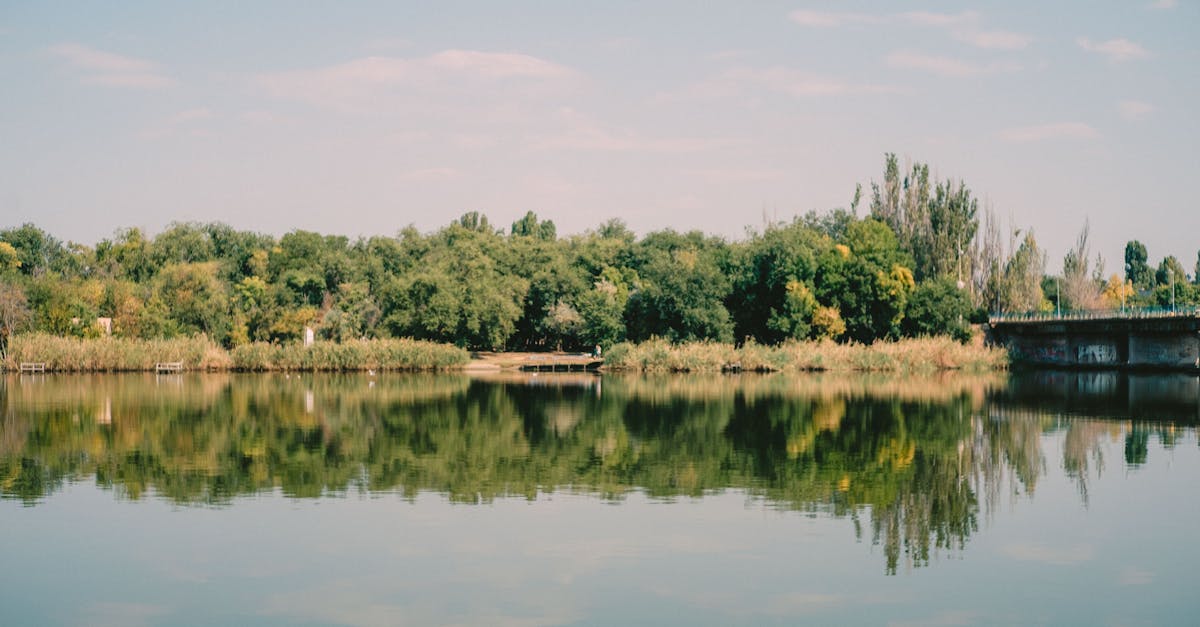 d&eacute;couvrez stillwater, un havre de paix o&ugrave; nature et tranquillit&eacute; se rencontrent. explorez ses paysages sereins, ses activit&eacute;s de plein air et laissez-vous s&eacute;duire par l'atmosph&egrave;re apaisante de cette destination unique.