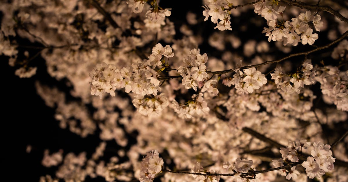 d&eacute;couvrez notre vaste s&eacute;lection de fragrances envo&ucirc;tantes qui &eacute;veillent les sens. des parfums uniques pour chaque personnalit&eacute; et occasion, alliant &eacute;l&eacute;gance et sophistication. plongez dans l'univers des senteurs et trouvez votre parfum id&eacute;al.