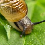 d&eacute;couvrez notre s&eacute;lection de r&eacute;pulsifs efficaces pour repousser les insectes et profiter pleinement de vos activit&eacute;s en plein air. solutions naturelles et chimiques adapt&eacute;es &agrave; vos besoins pour un &eacute;t&eacute; sans nuisibles.