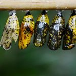 À 63 ans, Madonna : une métamorphose surprenante due à la chirurgie esthétique, un sujet qu'elle choisit d'ignorer. découvrez le processus fascinant de transformation, où idées, ambitions et projets prennent forme et évoluent vers de nouvelles réalités. explorez des stratégies efficaces pour initier le changement, que ce soit dans votre vie personnelle, professionnelle ou dans votre environnement.