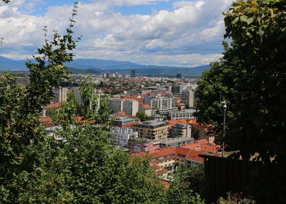 A vibrant cityscape of Ljubljana, Slovenia, framed by lush greenery and a clear sky.