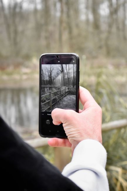 Person photographing a scenic outdoor setting with a smartphone, showcasing nature.